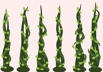 Beanstalk Vectors - Kostenloses vector #366739